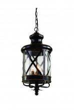  5124 ROB - Chandler 3-Light Embellished Metal and Glass Outdoor Hanging Pendant